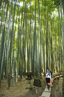 Bamboo Forest at Hokoku-ji Temple