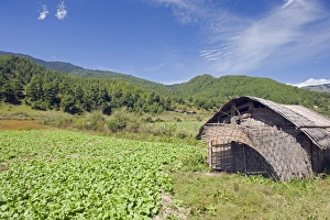 Images Dated 2nd October 2009: Bamboo hut, Bumthang, Chokor Valley, Bhutan, Asia