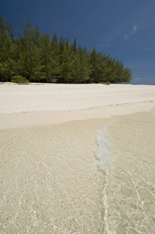 Images Dated 19th January 2000: Bamboo Island near Phi Phi Don Island