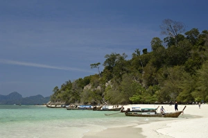 Images Dated 20th January 2000: Bamboo Island near Phi Phi Don Island