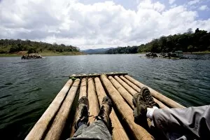 Images Dated 14th February 2008: Bamboo rafting, Periyar Tiger Reserve, Thekkady, Kerala, India, Asia