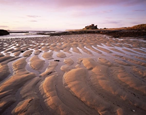 Surface Level Prints: Bamburgh castle and Bamburgh beach at sunrise, Bamburgh, Northumberland