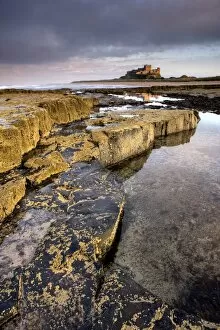 Images Dated 30th September 2009: Bamburgh Castle bathed in evening light with foreground of barnacle-encrusted rocks