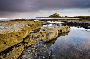 Images Dated 30th September 2009: Bamburgh Castle bathed in evening light with foreground of barnacle-encrusted rocks