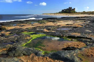 Pools Prints: Bamburgh Castle, Northumberland, England