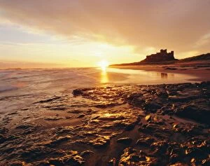 Sea Scape Collection: Bamburgh Castle at sunrise, Northumberland, England