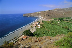 La Gomera Prints: Banana Plantations