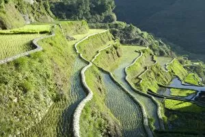 Images Dated 19th March 2010: Banaue mud-walled rice terraces of Ifugao culture, UNESCO World Heritage Site