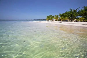 Honduras Prints: Bando Beach, Utila, Bay Islands, Honduras, Central America