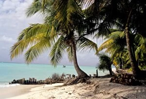 Bangaram Beach, Lakshadweep Islands, India, Indian Ocean, Asia