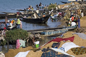 Images Dated 15th December 2005: The bank of the River Niger, Segou, Mali, Africa