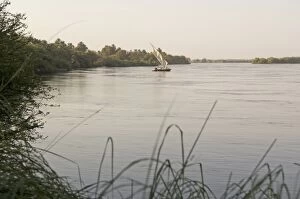 Banks of Nile River at Kerma, Nubian village, Sudan, Africa