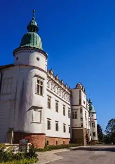 Polish Culture Prints: Baranow Sandomierski Castle, Subcarpathian Voivodeship, Poland, Europe