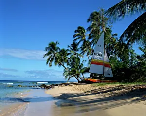 Barbados Prints: Barbados, West Indies, Caribbean, Central America