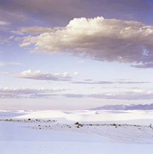 Barchan dune