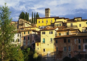 Images Dated 2006: December Collection