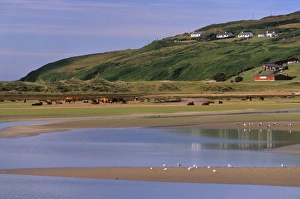 County Cork Prints: Barley Cove