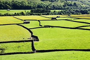 Barn and dry stone walls in meadows at Gunnerside, Swaledale, Yorkshire Dales, Yorkshire, England, United Kingdom, Europe