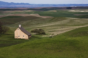 Palouse Prints: Barn in the Palouse, Idaho, United States of America, North America