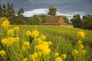 Images Dated 25th May 2008: Barn, Sultan City, Stevens Pass Scenic Highway, Washington State, United States of America
