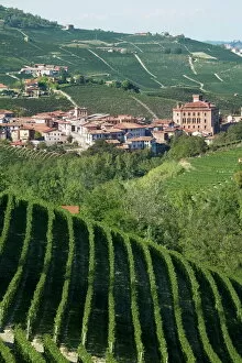 Rolling Landscape Collection: Barolo, Langhe region, Piedmont, Italy, Europe