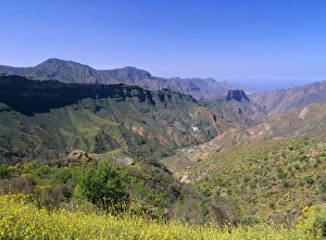 Canary Island Prints: Barranco del Chorillo