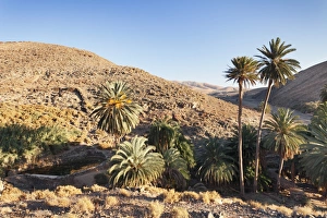 Ajuy Prints: Barranco de la Madre de Agua, Ajuy, Fuerteventura, Canary Islands, Spain, Europe