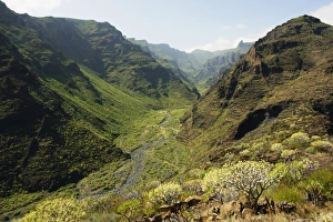 La Gomera Prints: Barranco de Santiago, La Gomera, Canary Islands, Spain, Europe