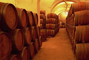 Wine Prints: Barrels in wine cellar