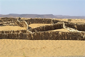 Barriers erected to prevent sand drifting onto road