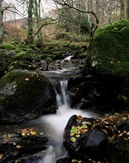 Borrowdale Prints: Barrow Beck, Borrowdale, Lake District, Cumbria, England, United Kingdom, Europe