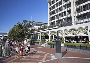 Auckland Prints: Bars and restaurants in Viaduct Harbour, Auckland, New Zealand, Pacific