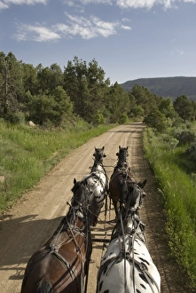 Bartels Mancos Valley Stage Line