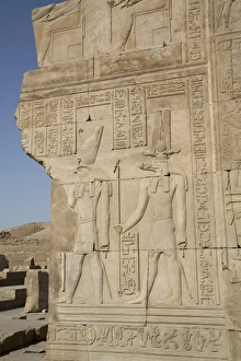 Inscription Prints: Bas-relief of the Gods Sobek on right and Horus on left, Temple of Haroeris and Sobek
