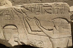 Thebes Prints: Bas-relief of Seti I on left and the God Horus on right, Karnak Temple, Luxor, Thebes