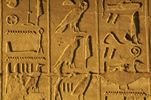 Traditionally Egyptian Prints: Bas relief, Temple of Luxor, Thebes