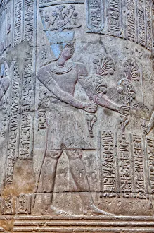 Support Prints: Bas Reliefs, Column, Hypostyle Hall, Temple of Khnum, Esna, Egypt, North Africa, Africa