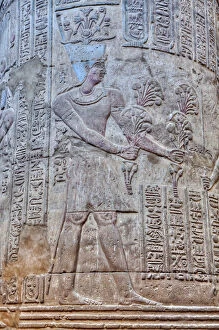 Closeup Gallery: Bas Reliefs, Column, Hypostyle Hall, Temple of Khnum, Esna, Egypt, North Africa, Africa