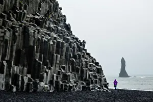 Wild Animals Prints: Basalt columns at the beach, Vik i Myrdal, Iceland, Polar Regions