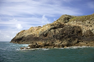 Basalt Prints: Basalt columns on cliffs in spring sunshine, Pembrokeshire National Park