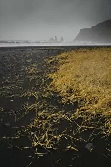 Foggy Gallery: Basalt rock formations (sea stacks) and black sand beach in Vik, Iceland, Polar Regions