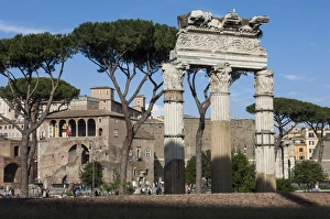 Forum Prints: Basilica Aemilia, near Trajans Markets, Ancient Roman Forum, UNESCO World Heritage Site