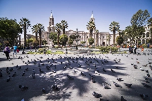 Arequipa Prints: Basilica Cathedral of Arequipa (Basilica Catedral)
