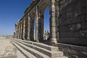 Images Dated 7th November 2007: Basilica, Roman ruins, Volubilis, UNESCO World Heritage Site, Morocco, North Africa