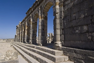 Images Dated 7th November 2007: Basilica, Roman ruins, Volubilis, UNESCO World Heritage Site, Morocco, North Africa
