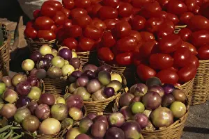 Vegetables Prints: Baskets of vegetables and tomatoes for sale in a market in the city of Oaxaca