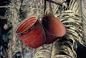 Hanging Prints: Baskets, Yanomami Indians, Brazil, South America