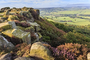 Heather Prints: Baslow Edge, early autumn heather, view to Baslow village, Peak District National Park