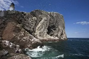 Bass Rock, Firth of Forth, Scotland, United Kingdom, Europe