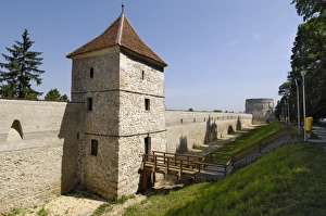 Town Wall Prints: Bastion and city walls, Brasov, Transylvania, Romania, Europe